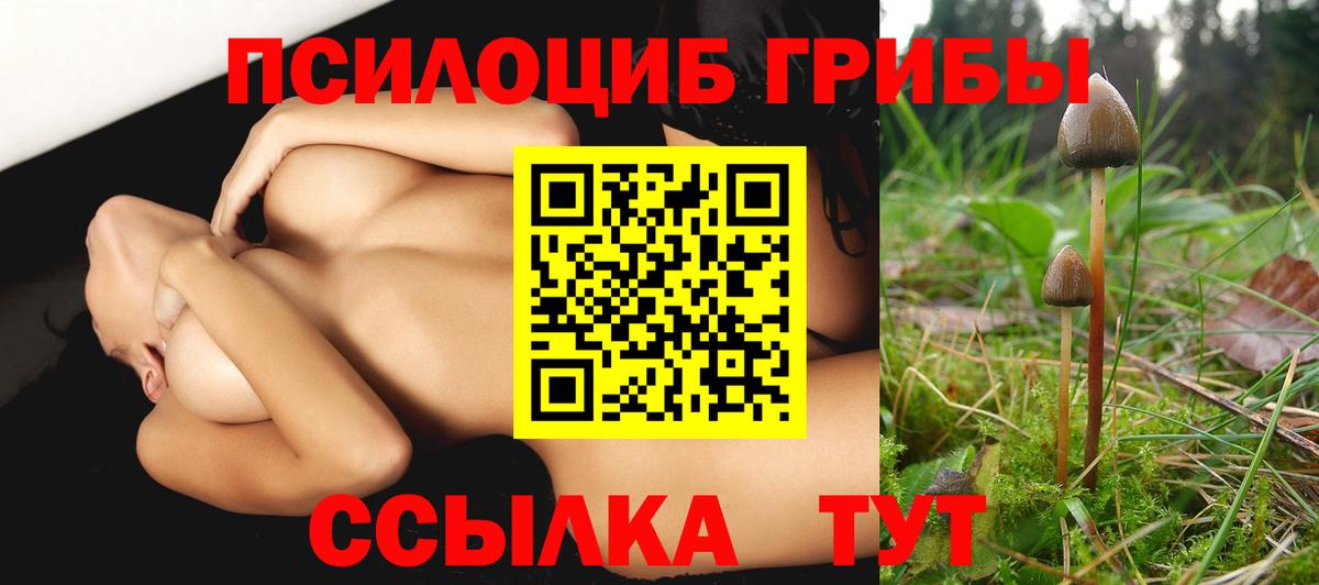 Псилоцибиновые грибы Psilocybine cubensis  Вход с VPN  Фролово 