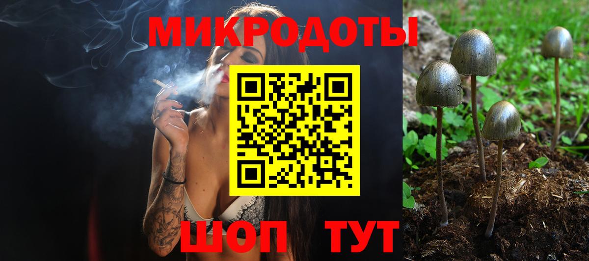 Галлюциногенные грибы Psilocybe Фролово